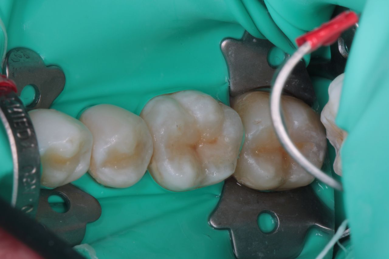 David Alan Escamilla Álvarez-9