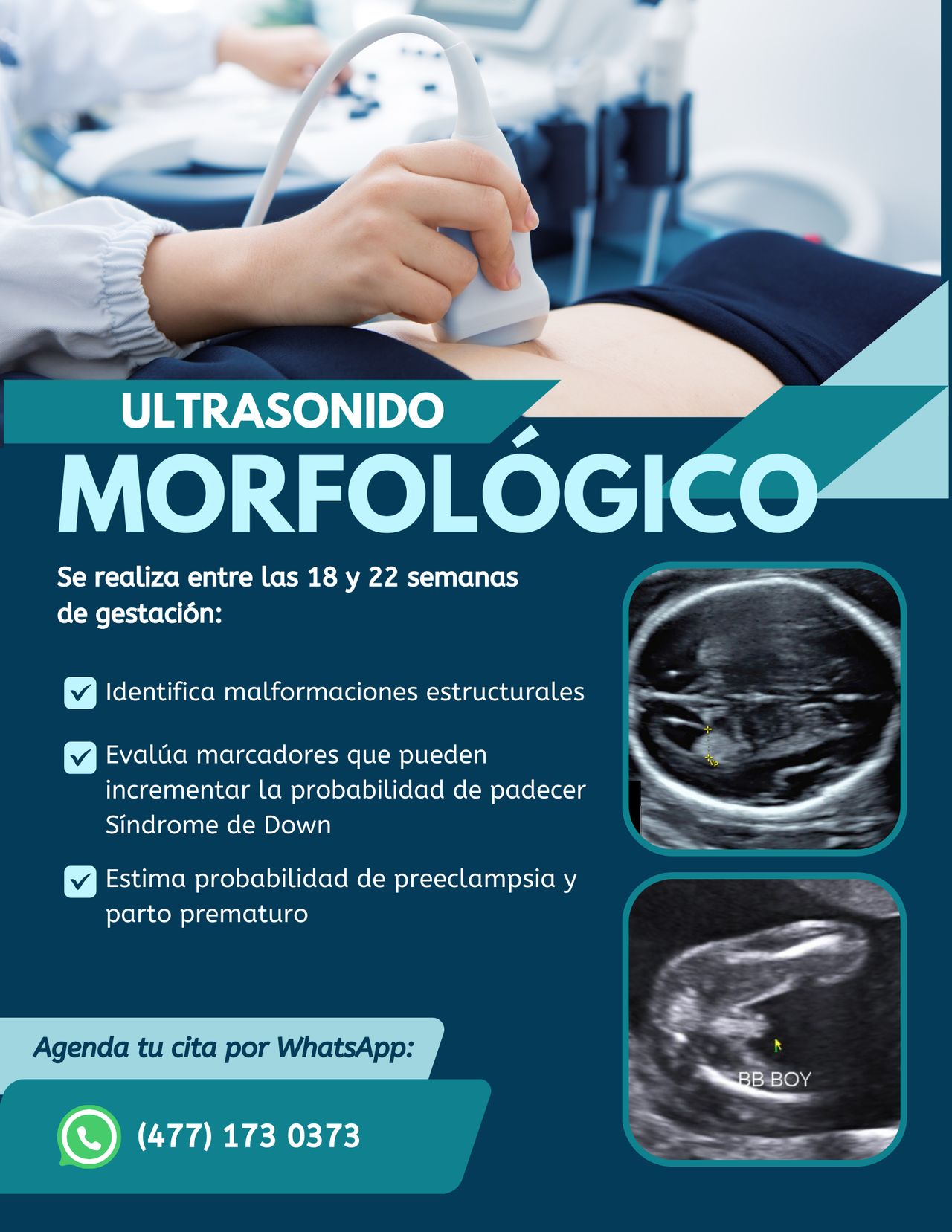 Fernando Nieto Landeros-2