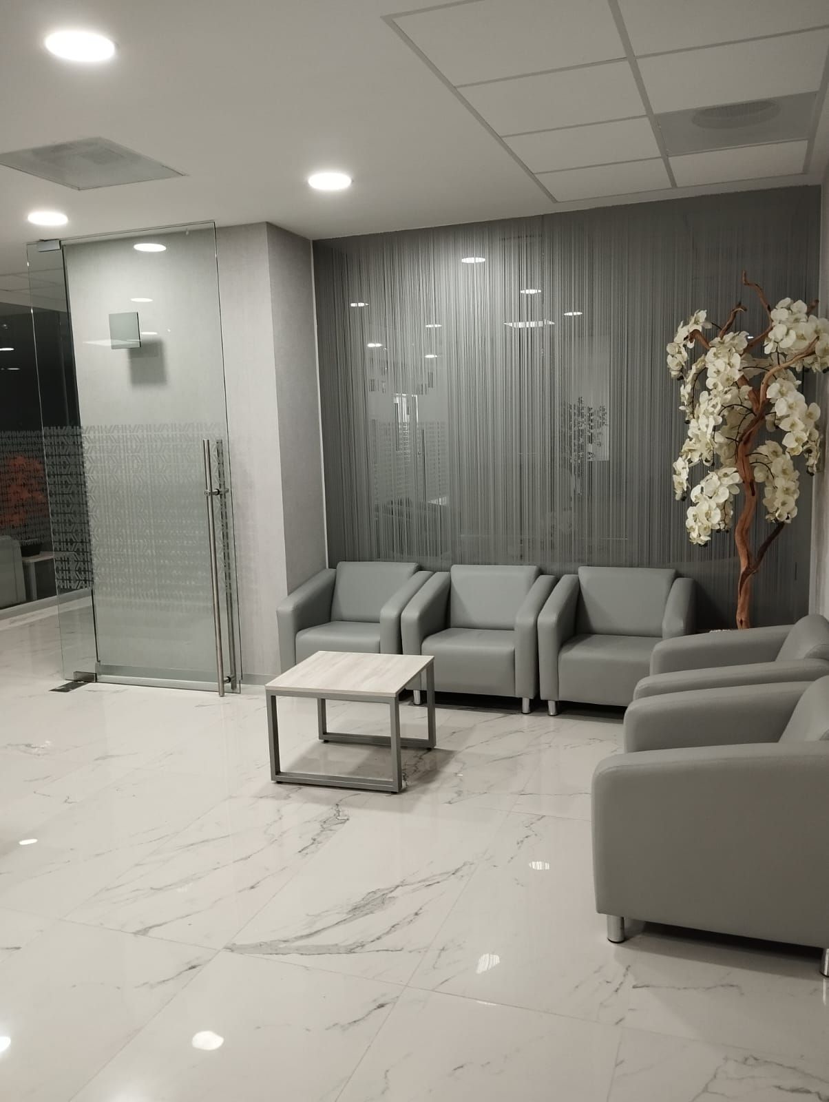 María Teresa Cibrian Pichardo-12