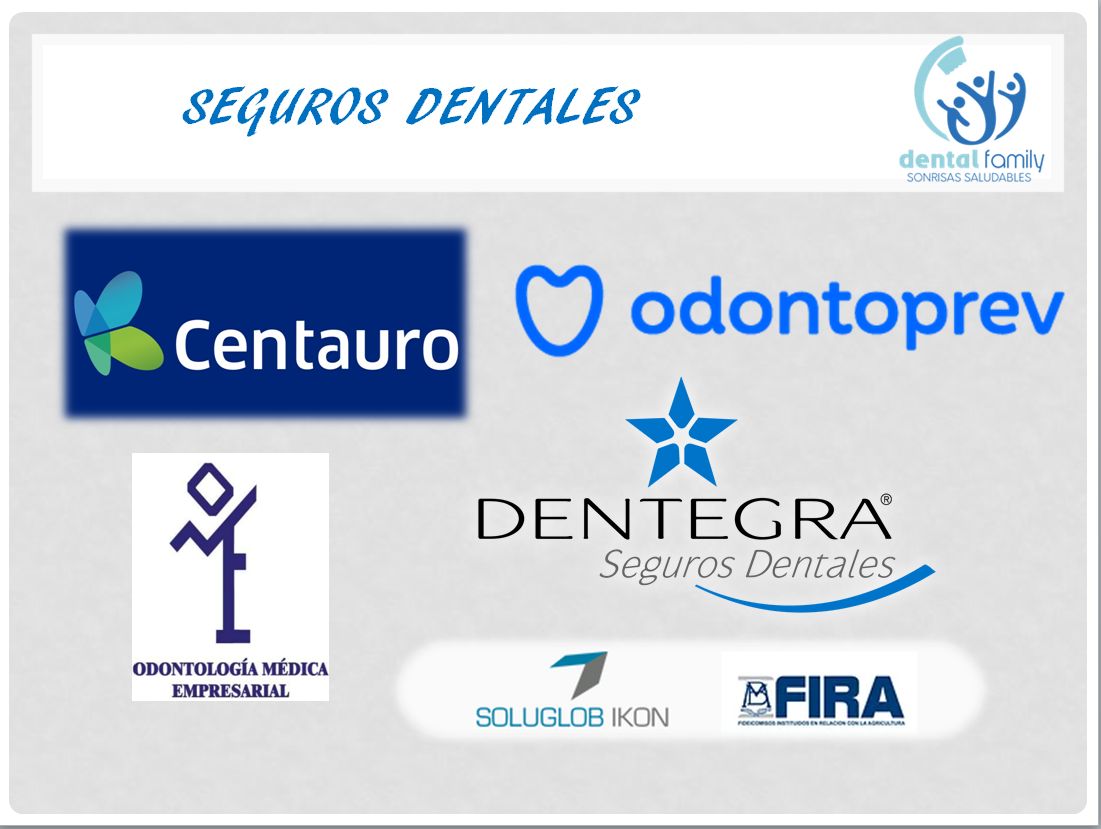 Lizbeth Rodríguez Capetillo-34