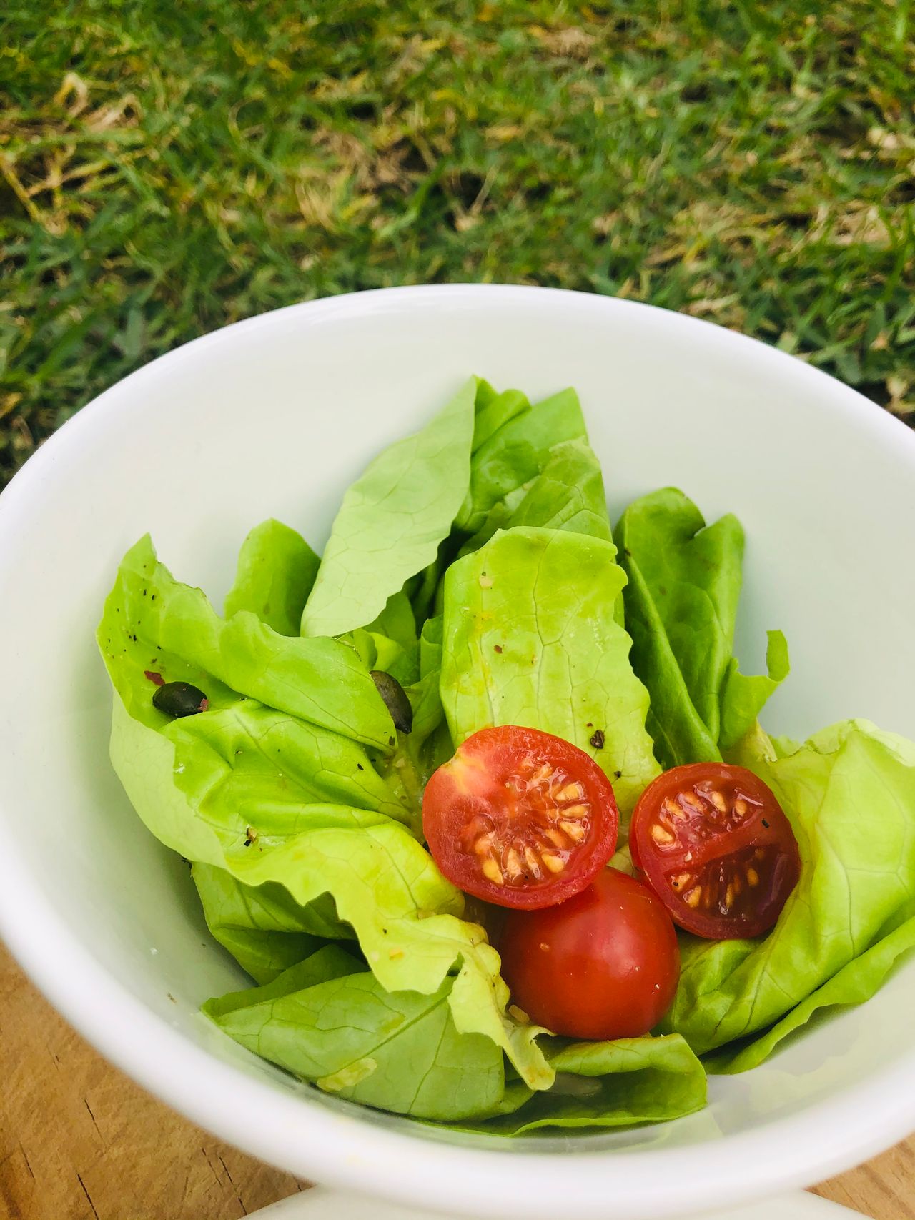 Cyntia Elizarraraz Pérez-31