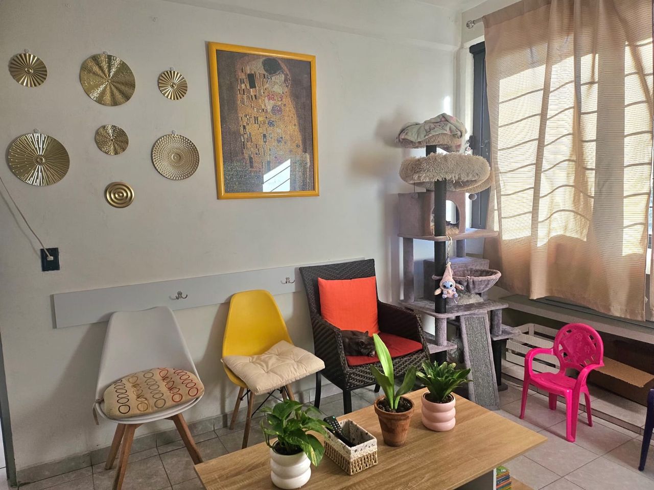 Brenda Rocío Lopez Sendejas-7