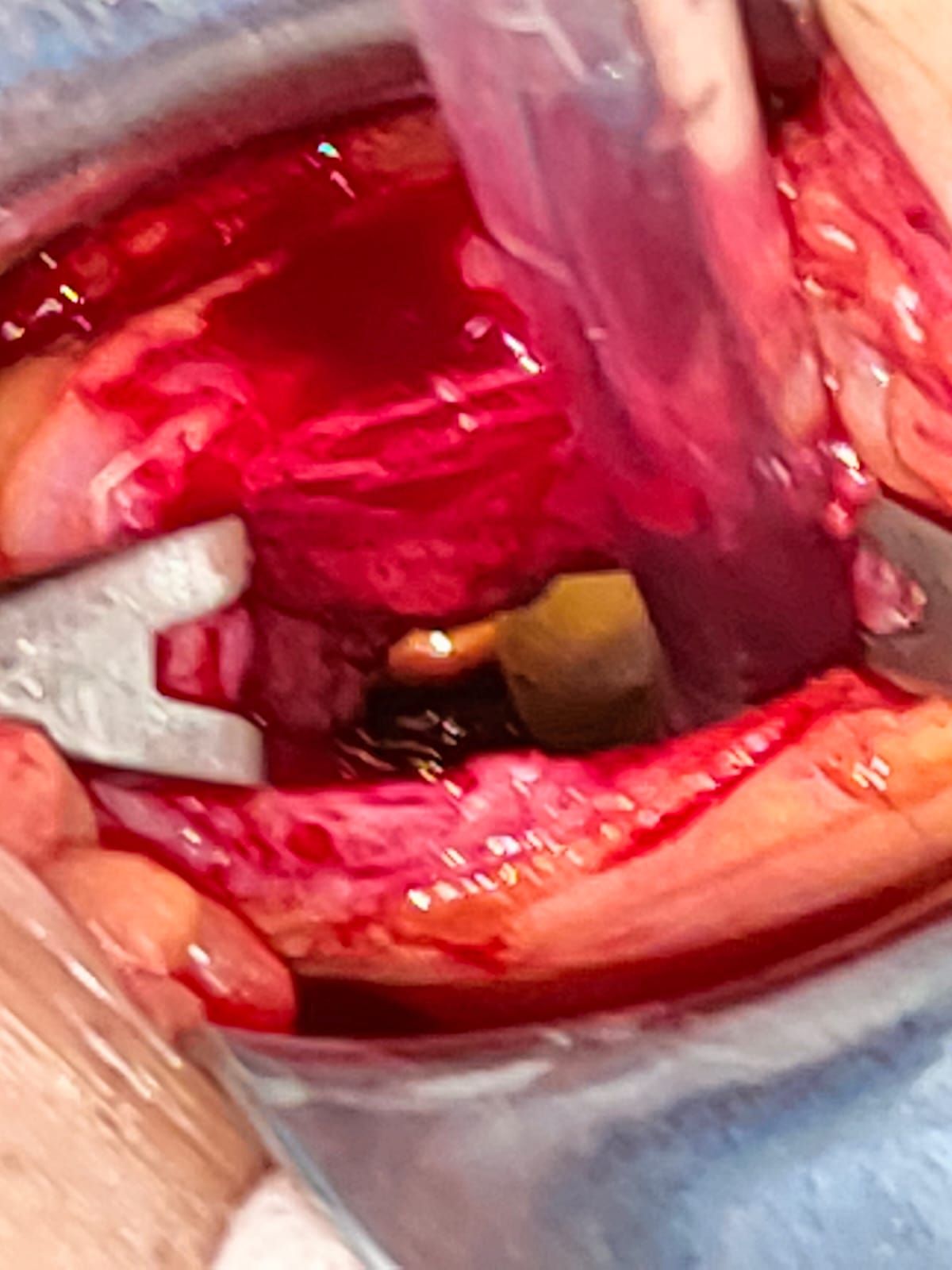 Iván Nájera Ayuso-3