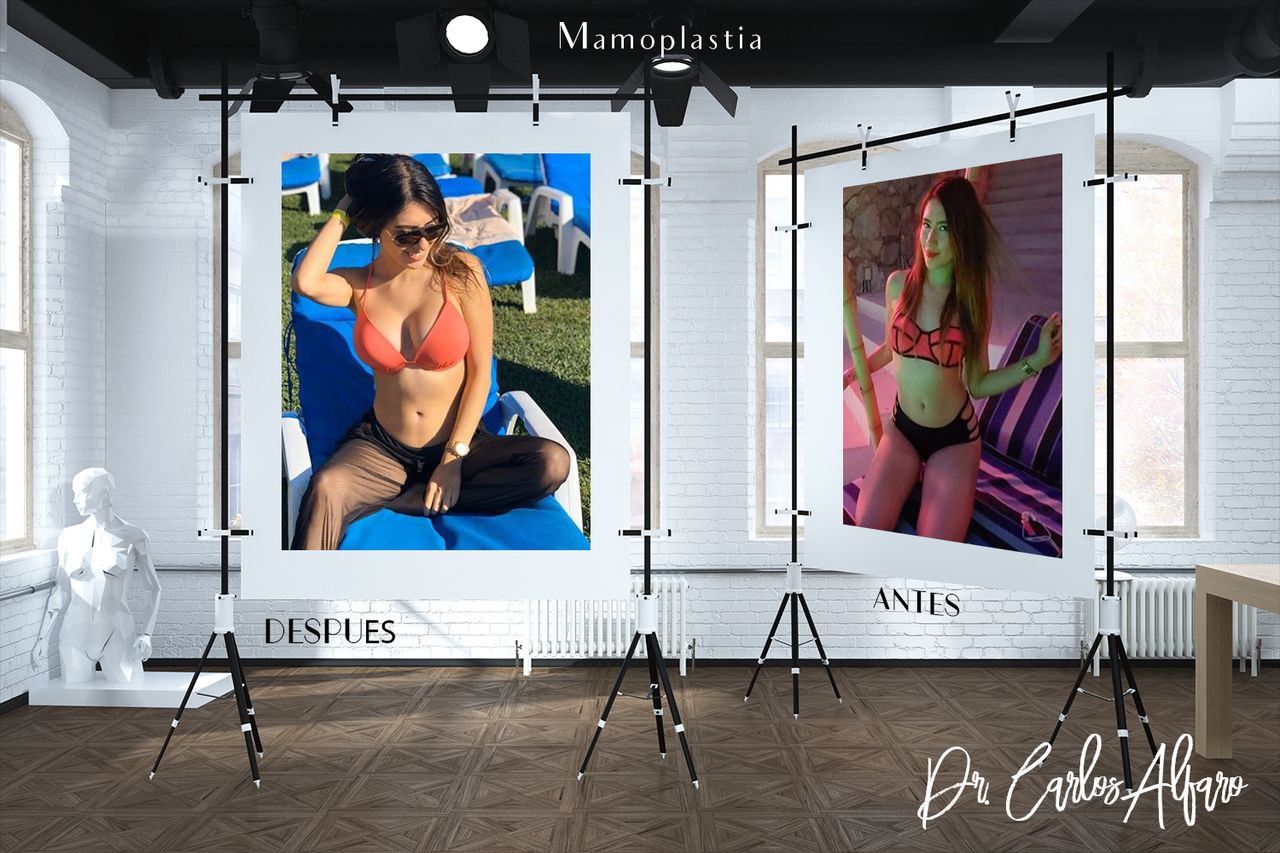 Carlos Gerardo Alfaro Moreno-17