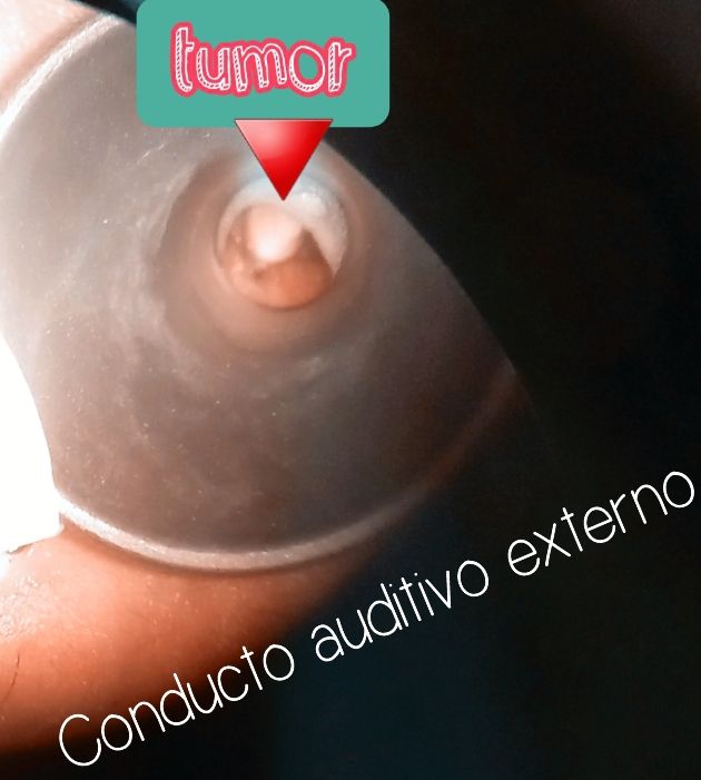 Azennet Rueda Rodríguez-8