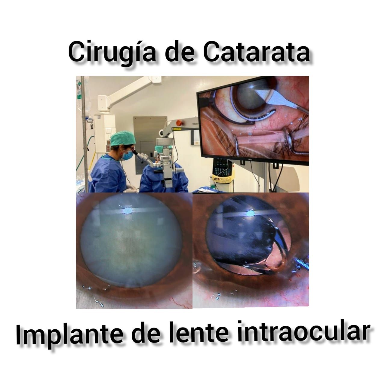 Maritza Niño Caldas-12