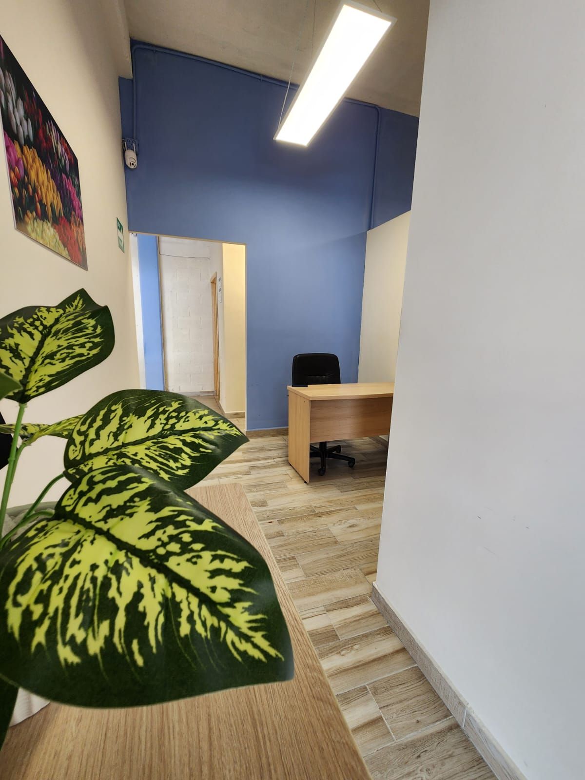 Lizeth Ruiz Barrios-5