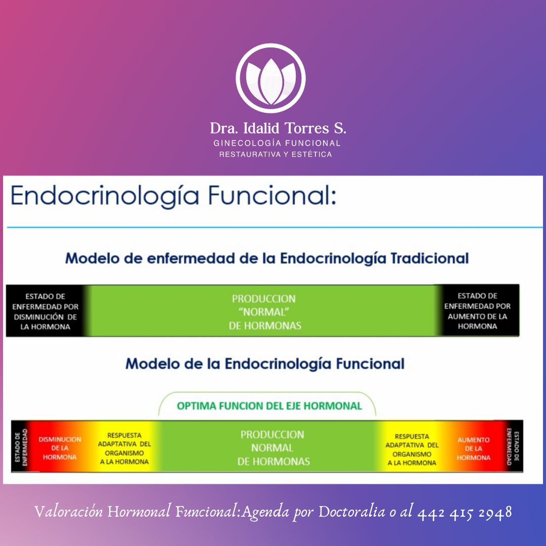 Idalid Torres Sánchez-13