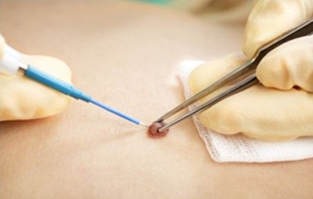 Grecia Balderrama Rodríguez-14