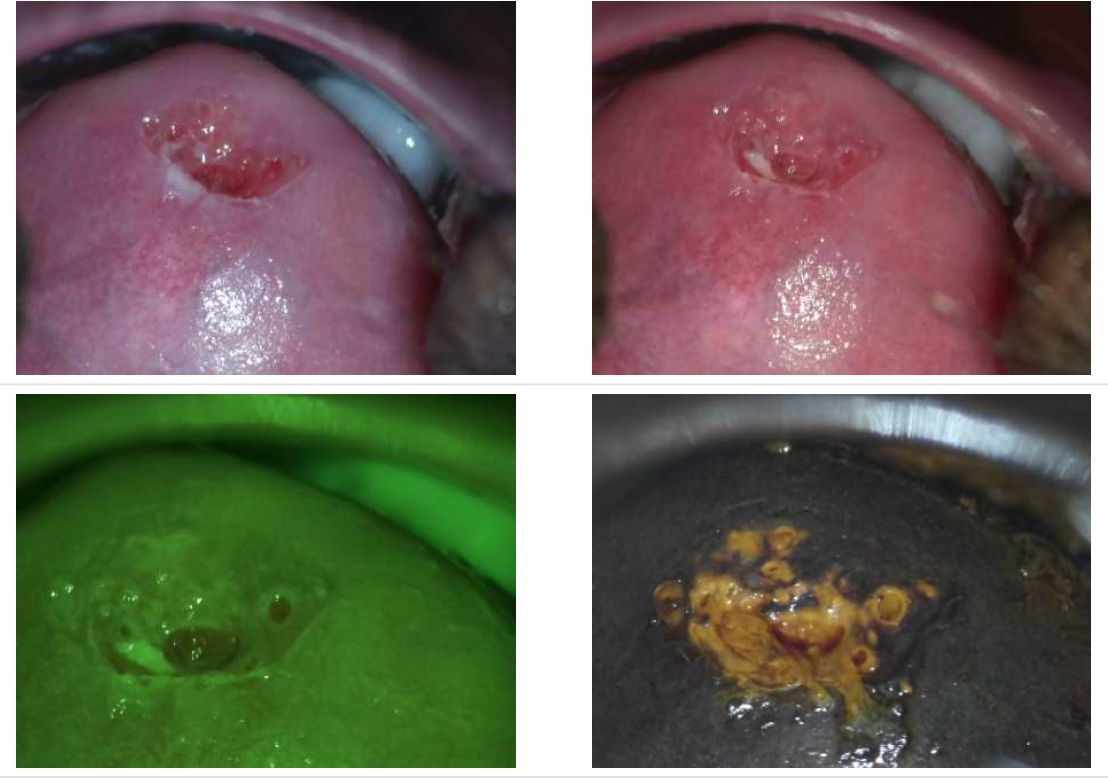 Omar Oswaldo Camarillo Contreras-5