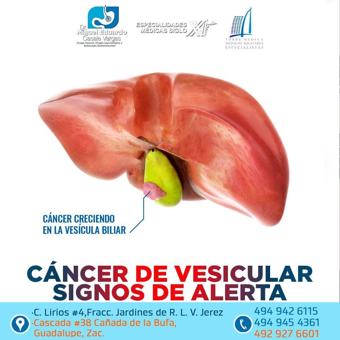 Miguel Eduardo Casale Vargas-10