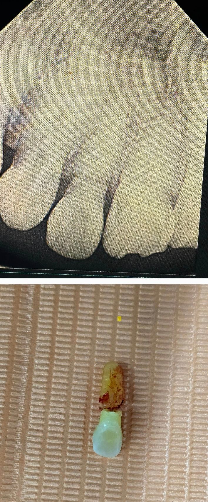 Aimée Quiroz Mendoza-6