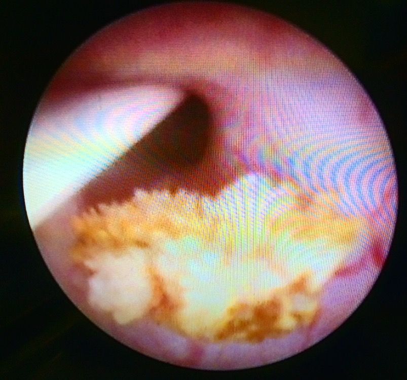 Mauricio Cantellano Orozco-17