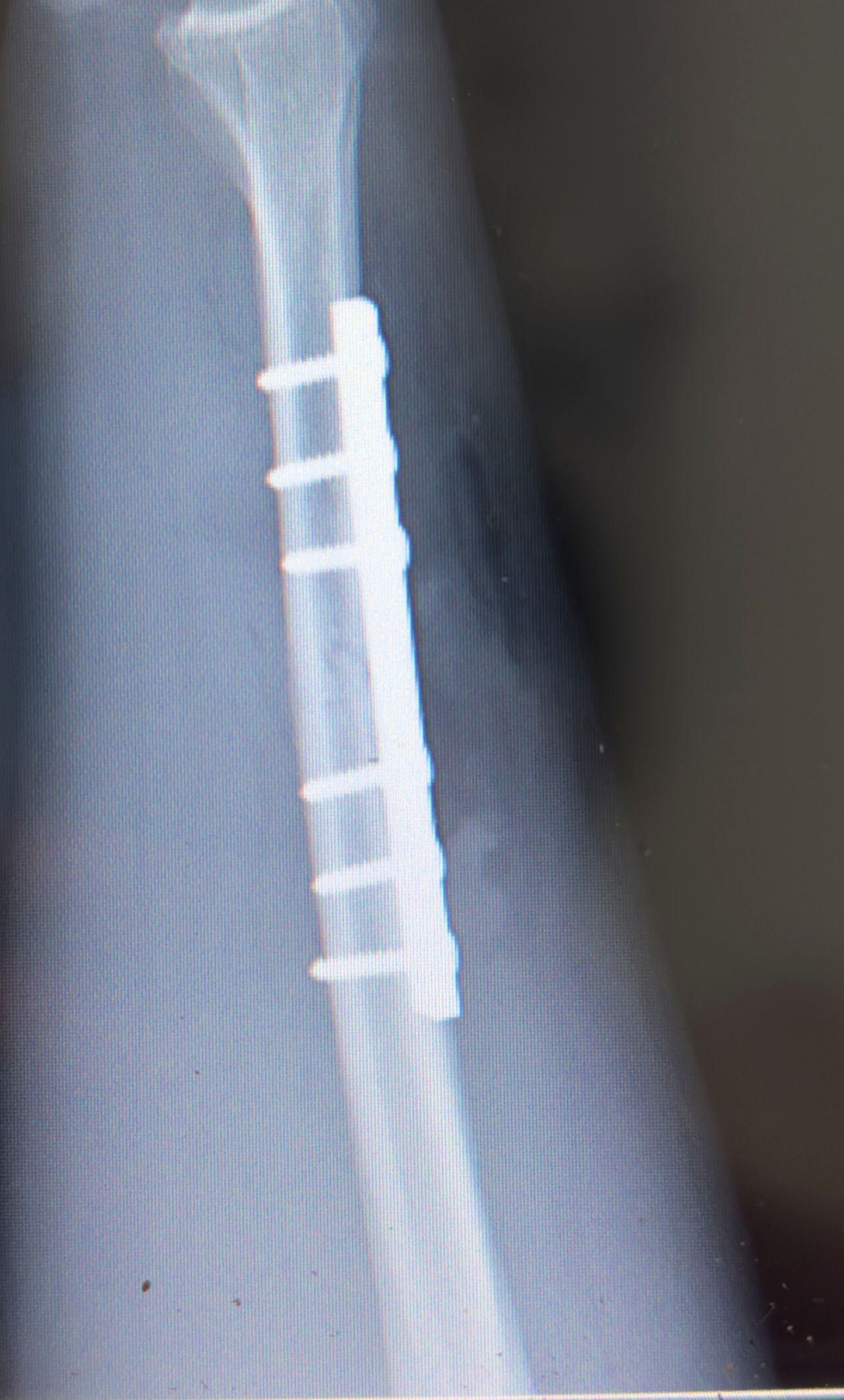 Ana Judith Jhotzely Lozano Reyes-2