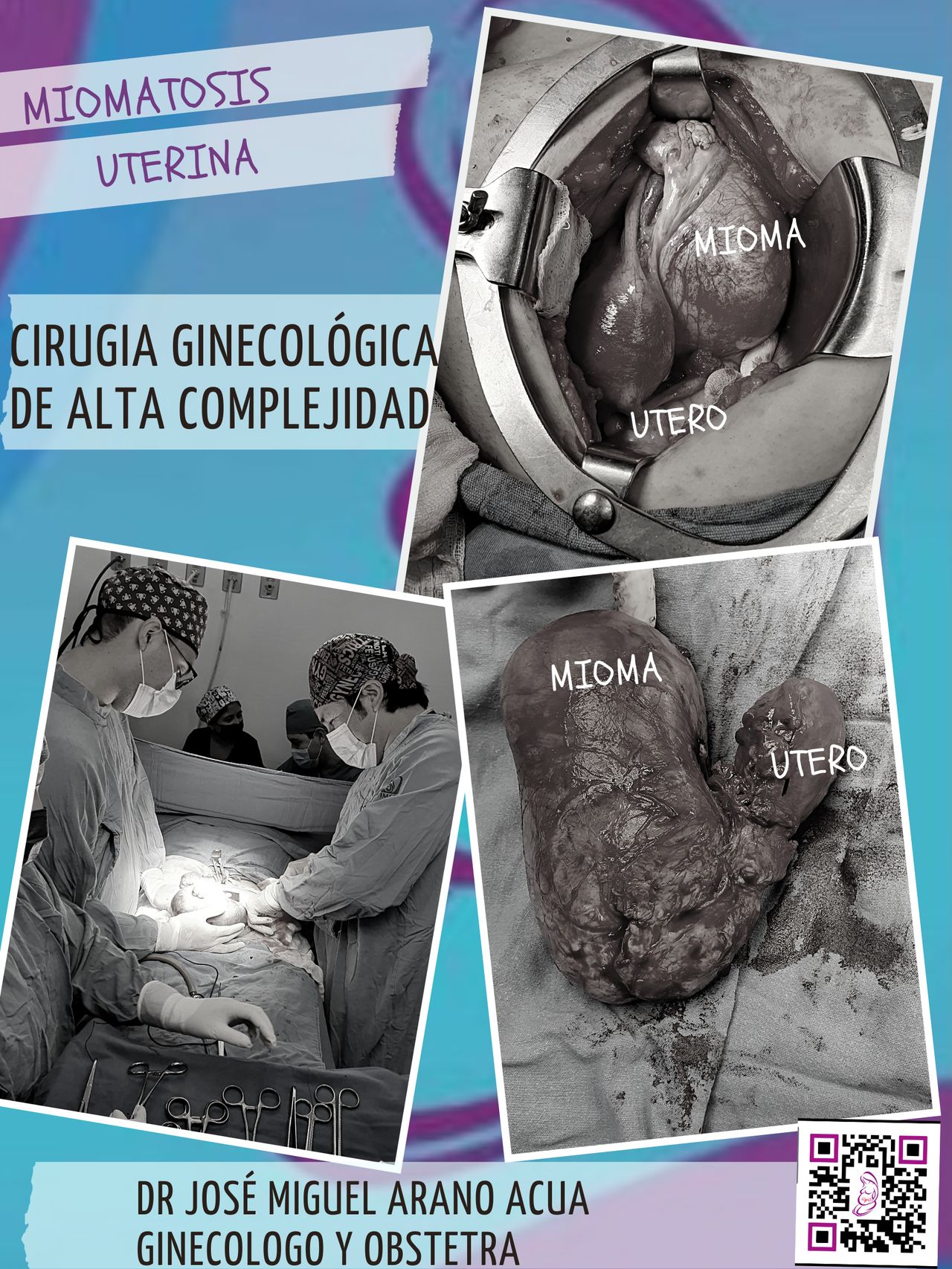 José Miguel Arano Acua-12