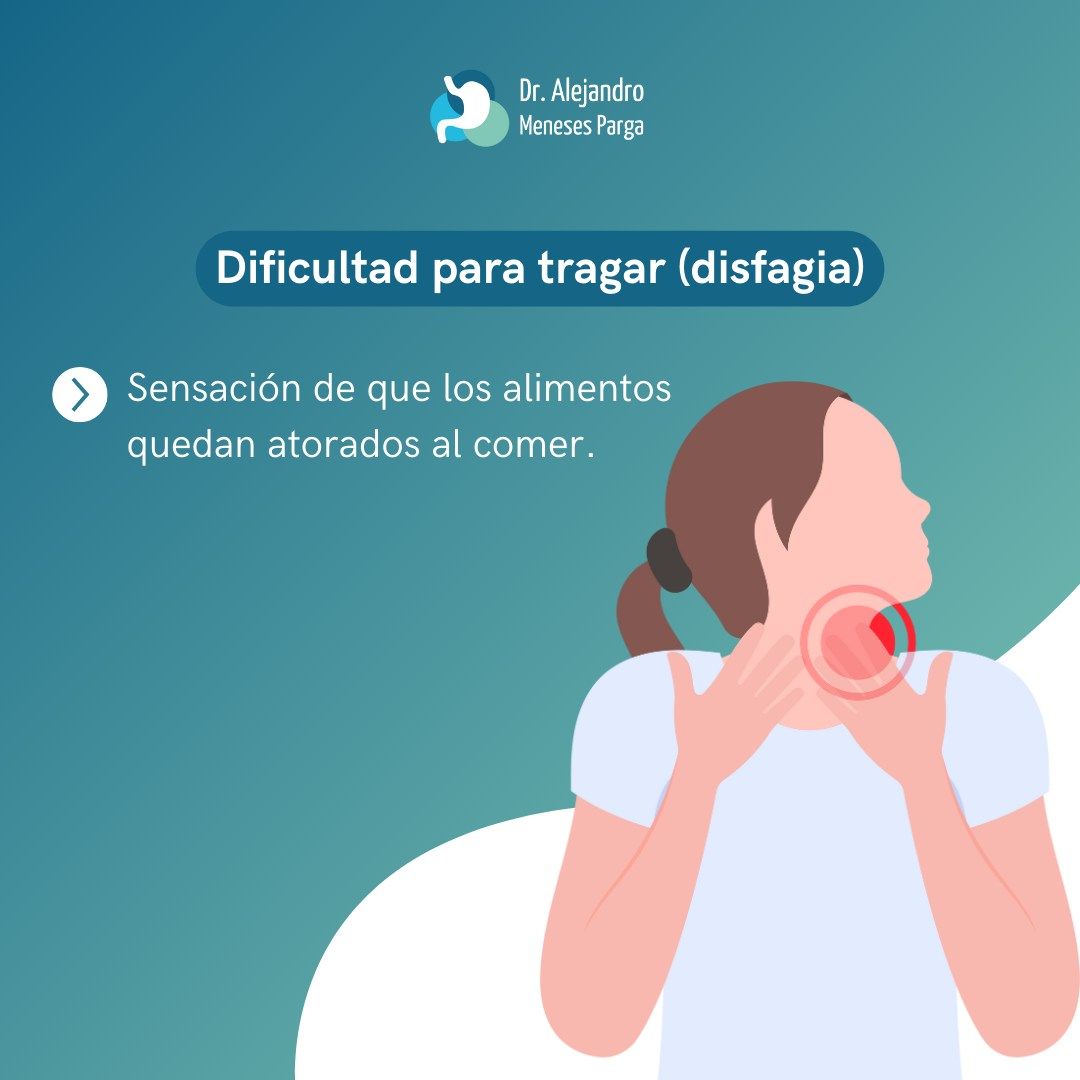 Alejandro Meneses Parga-67