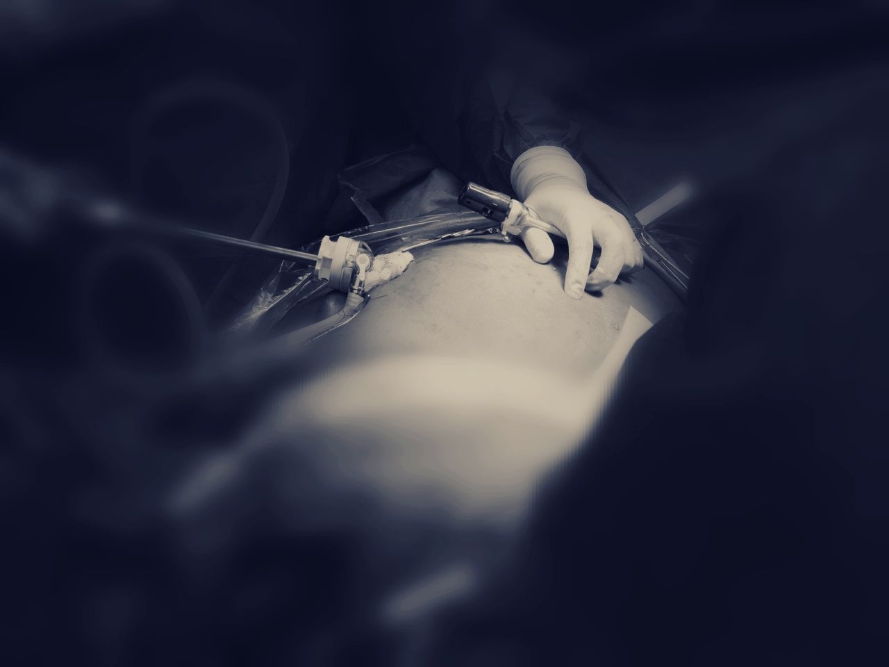 Francisco Emmanuel Navarrete Hernández-8