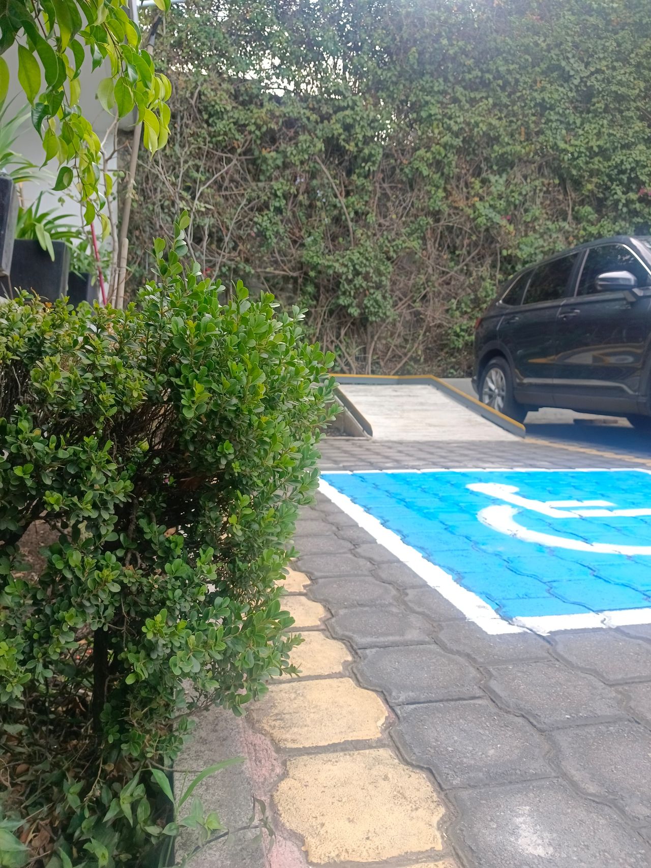 Alejandra Rojas Flores-3