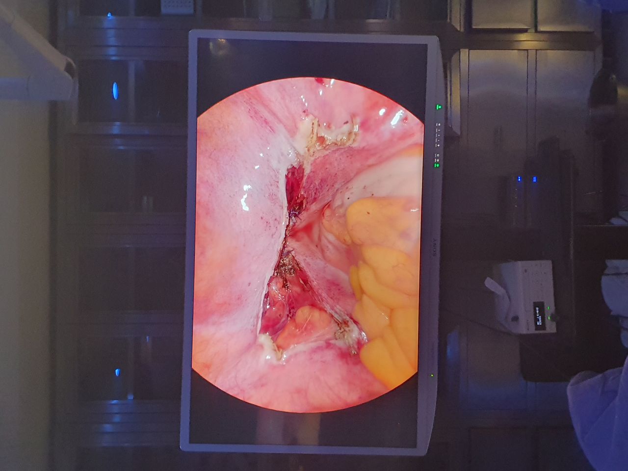 Martha Helena Cabezas Pérez-23