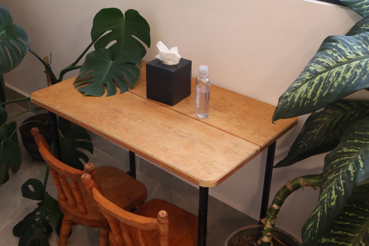 Félix Romero Flora-7