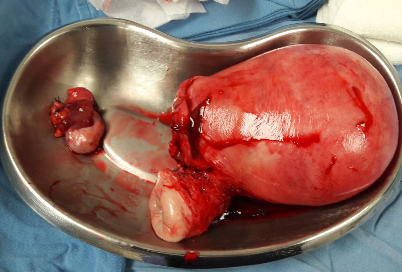 Hilda Rguez Zubieta-2