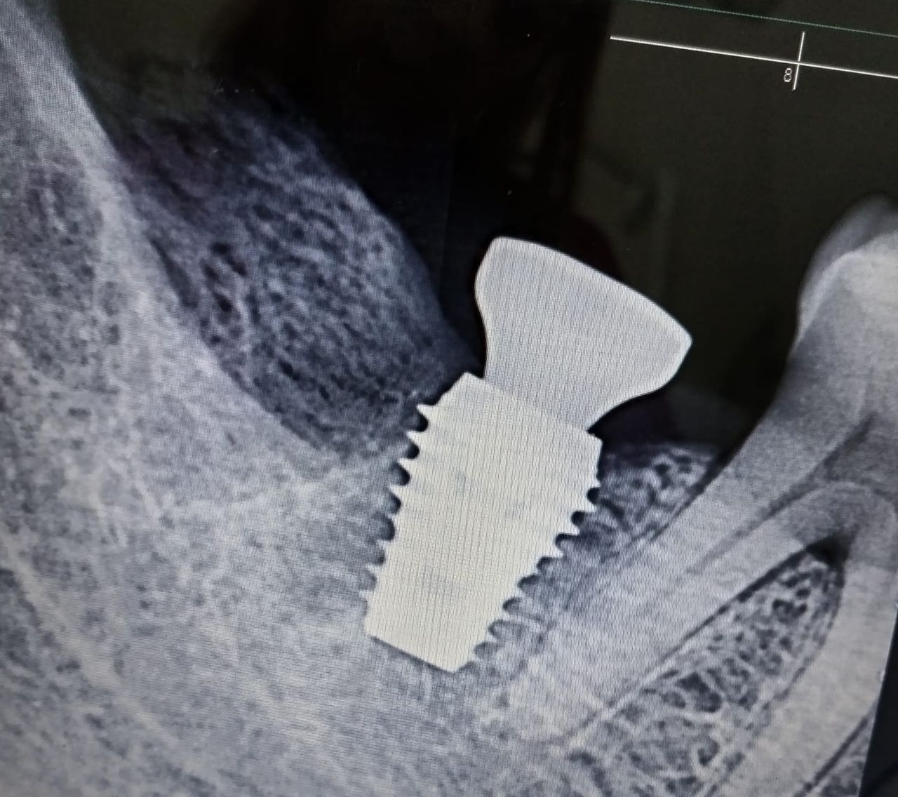 Assalia Anais González Hernandez-14