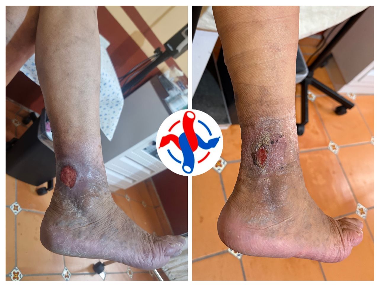 José Reyes Gómez Romo-6