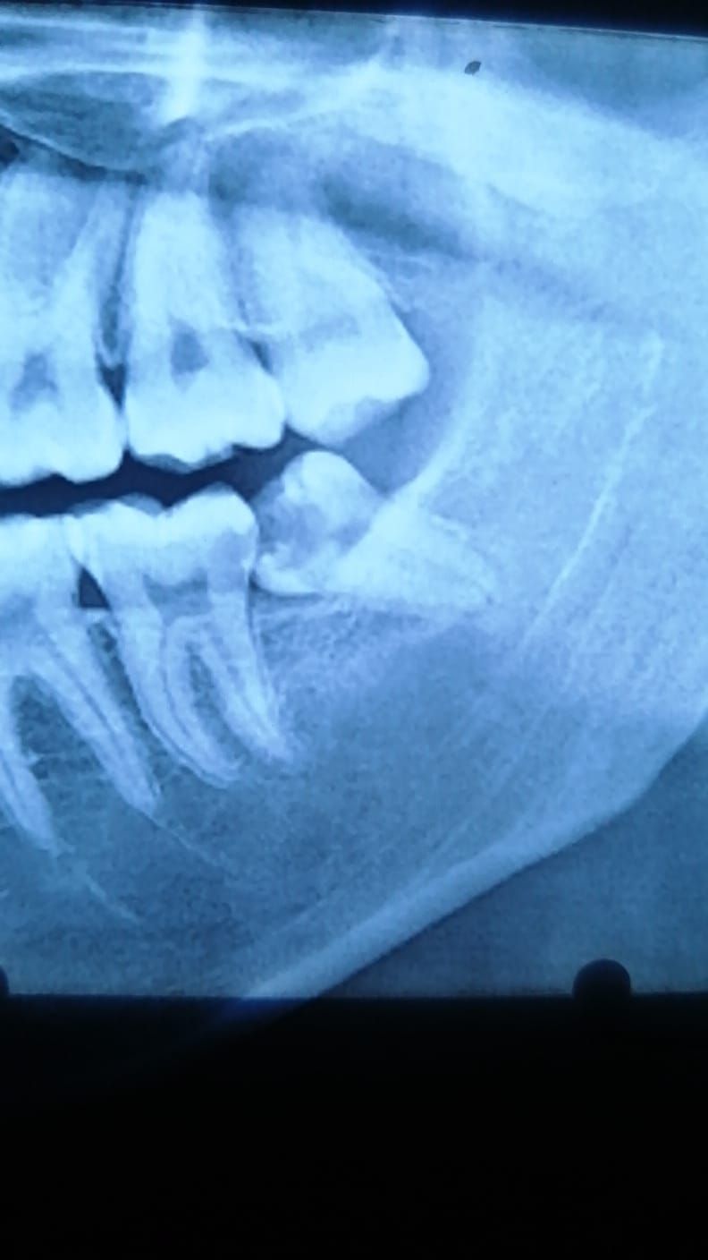 María Teresa Gómez Serrano-2