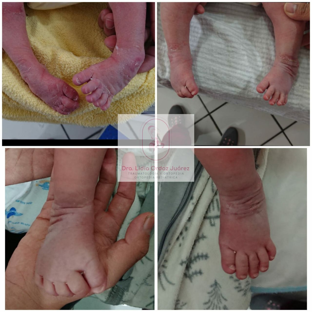 Lidia Ordaz Juárez-12