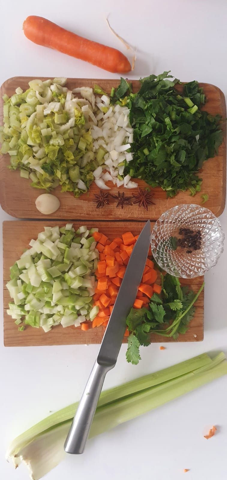 Fabiola Torres Villanueva-15