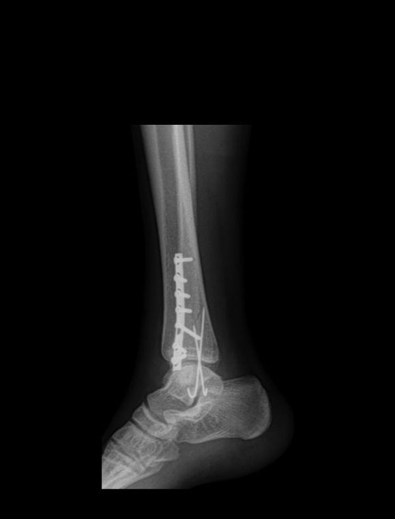 Salvador Medina Garnica-10