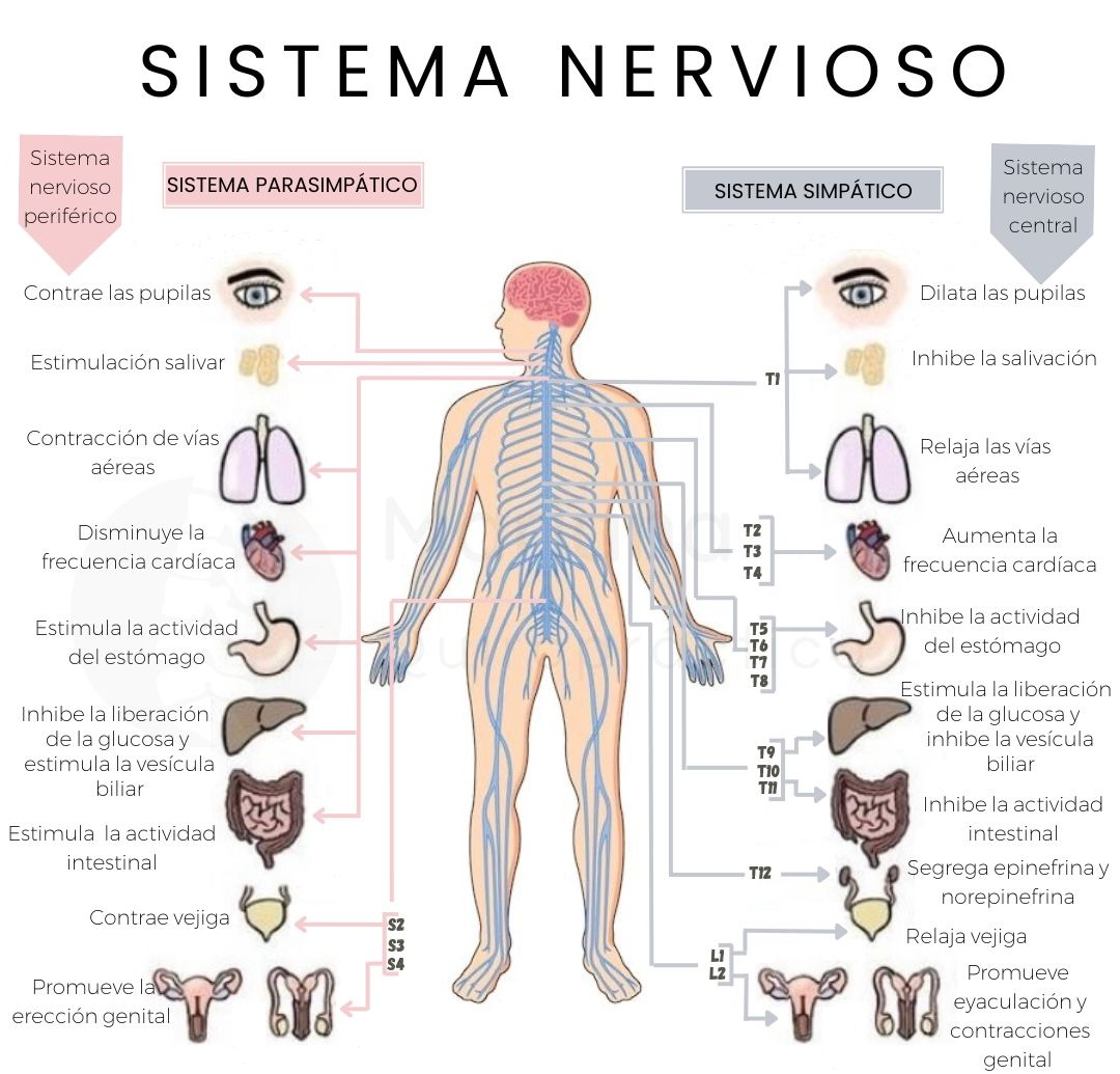 Mariana Hernández Fabila-4