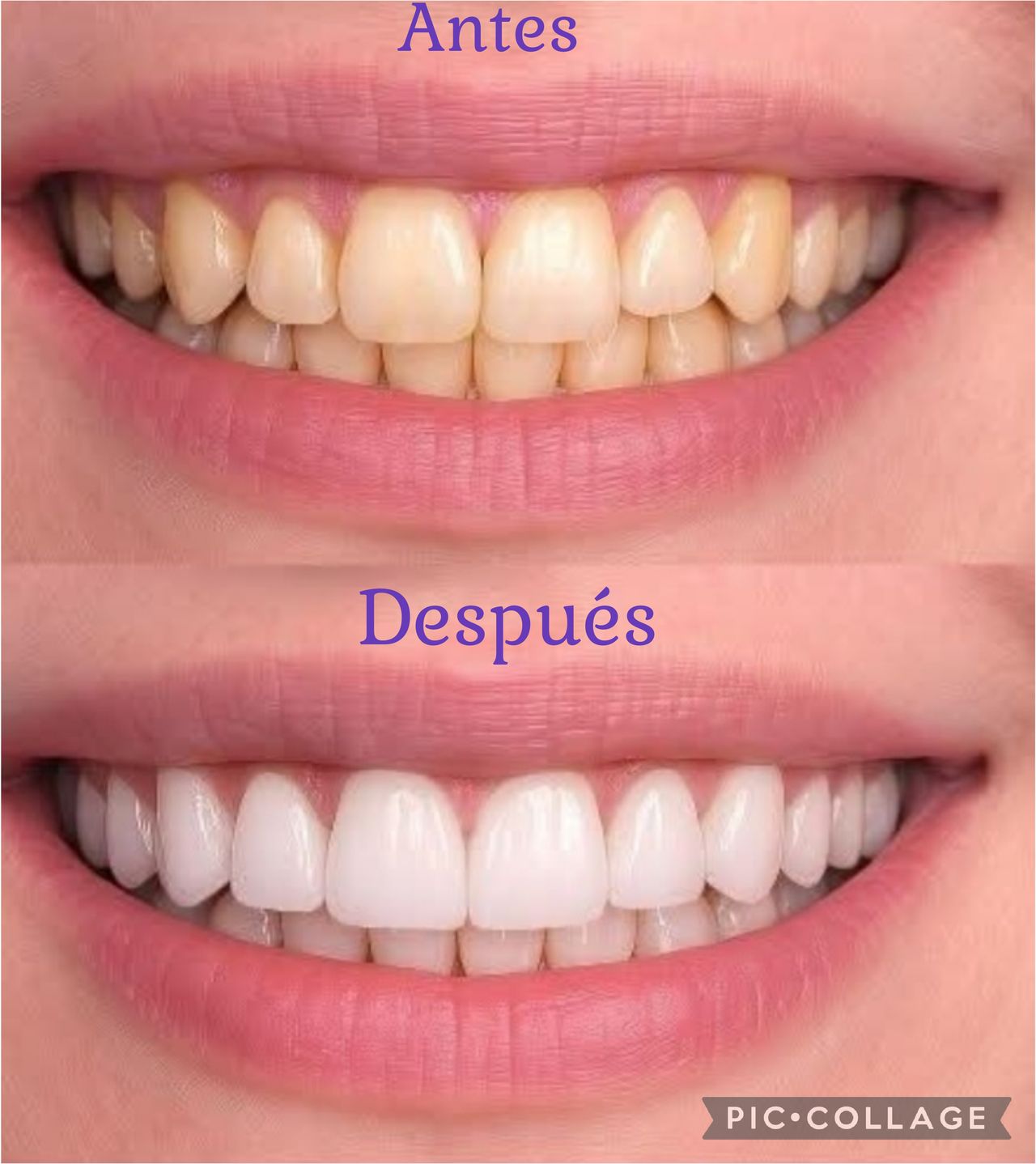 Fabiola Arcos Huesca-11