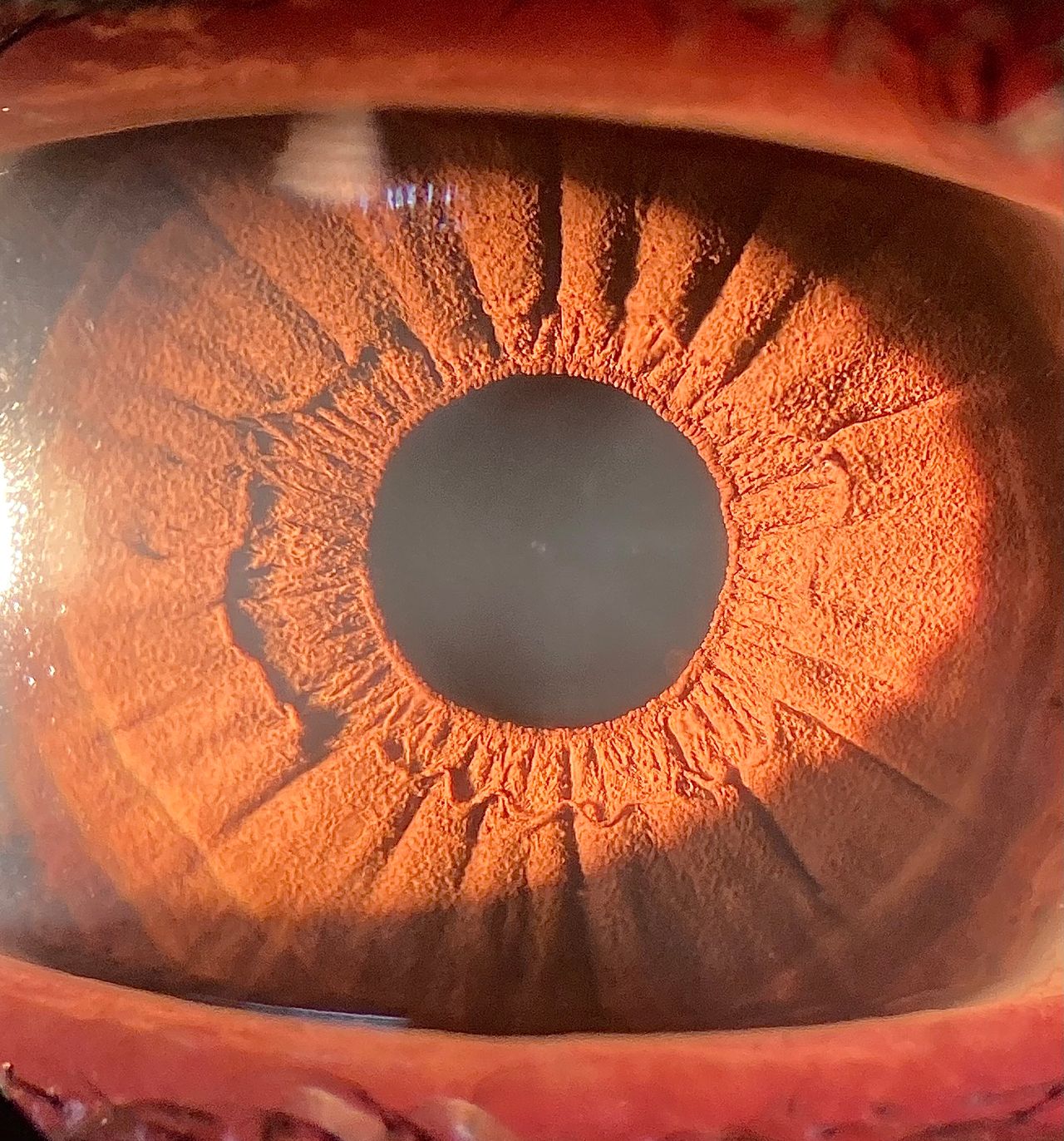 Sandra Almanza Jasso-0