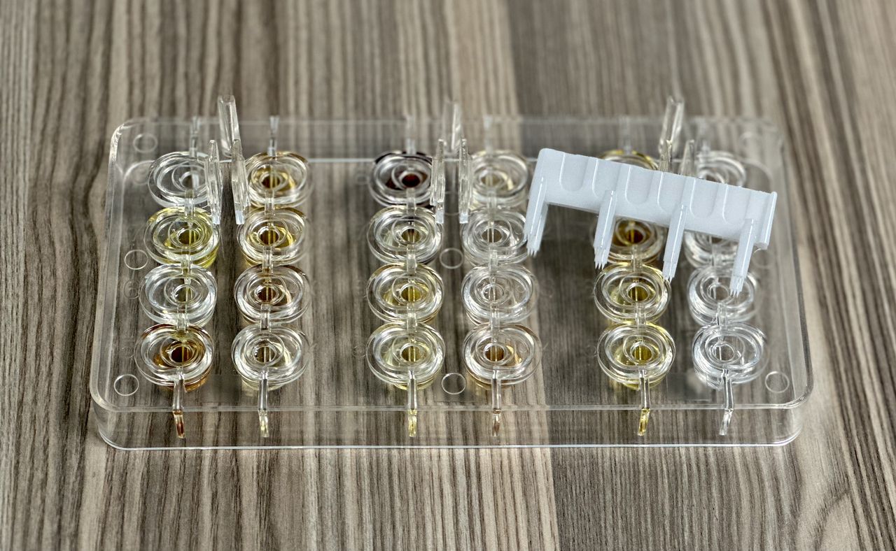 Gerardo López Ponce-1