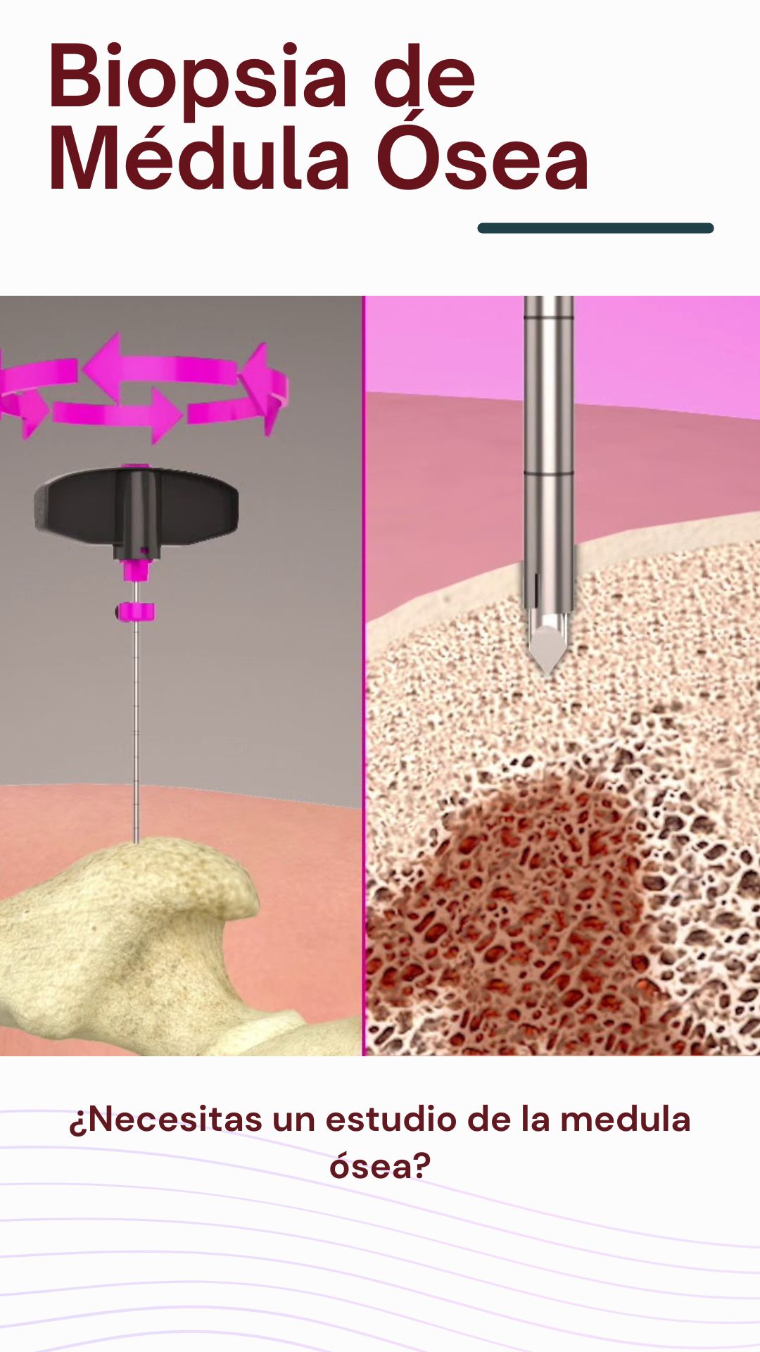 Rosio Lopez Reyes-24