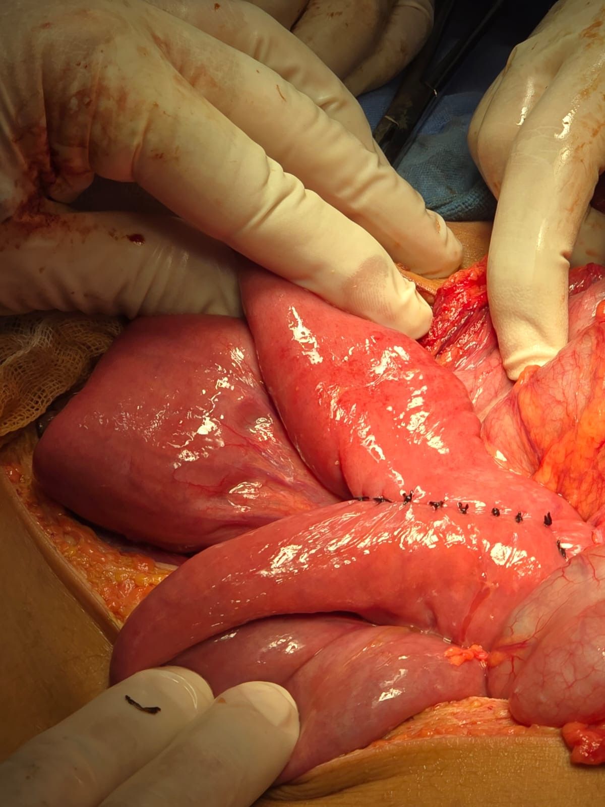 Jorge Rodríguez Navarro-11