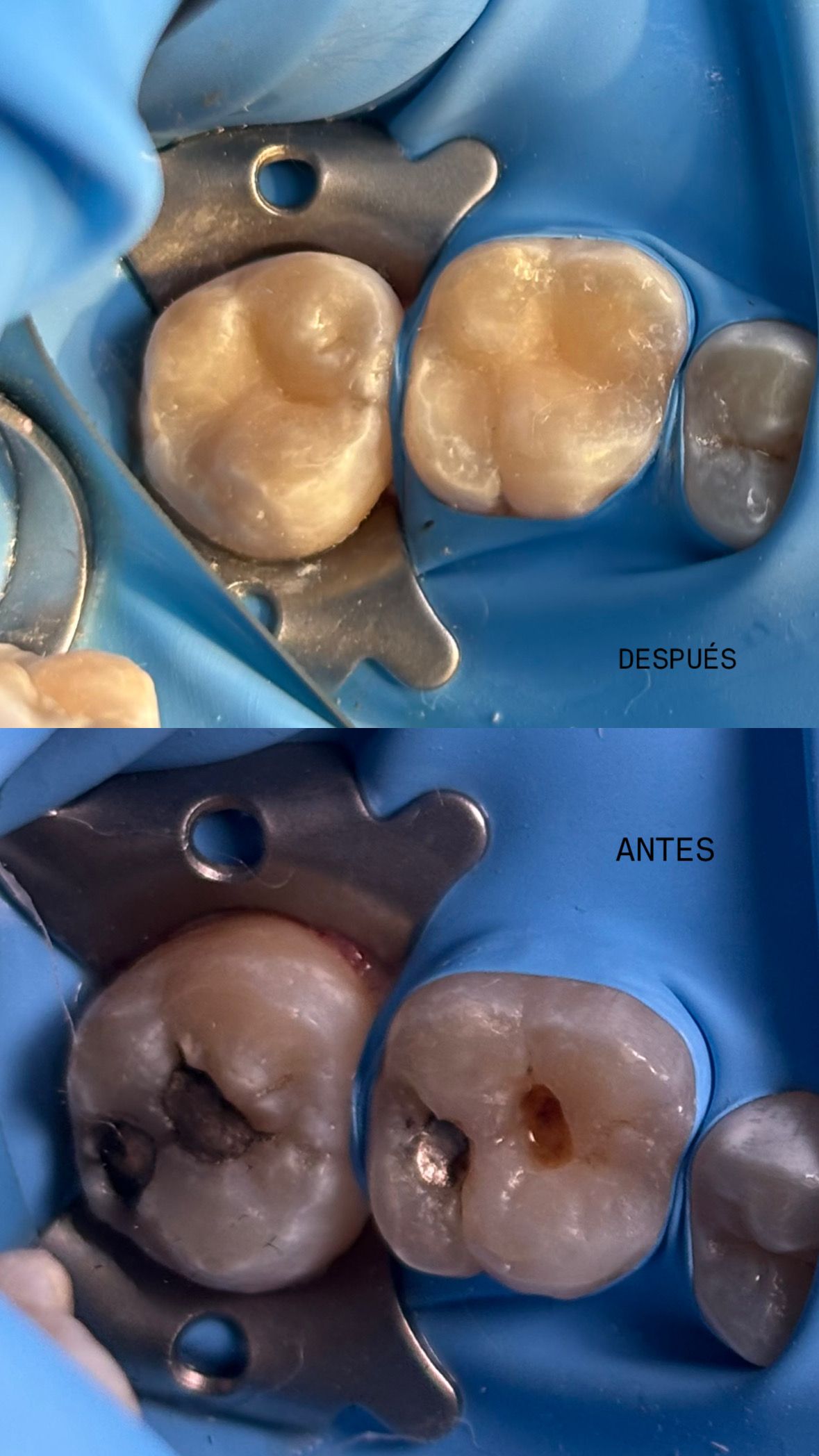 María Paula  Flores Novoa-56