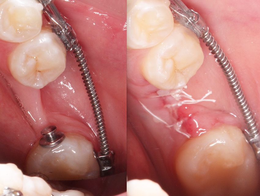 María Guadalupe García Figueroa-4