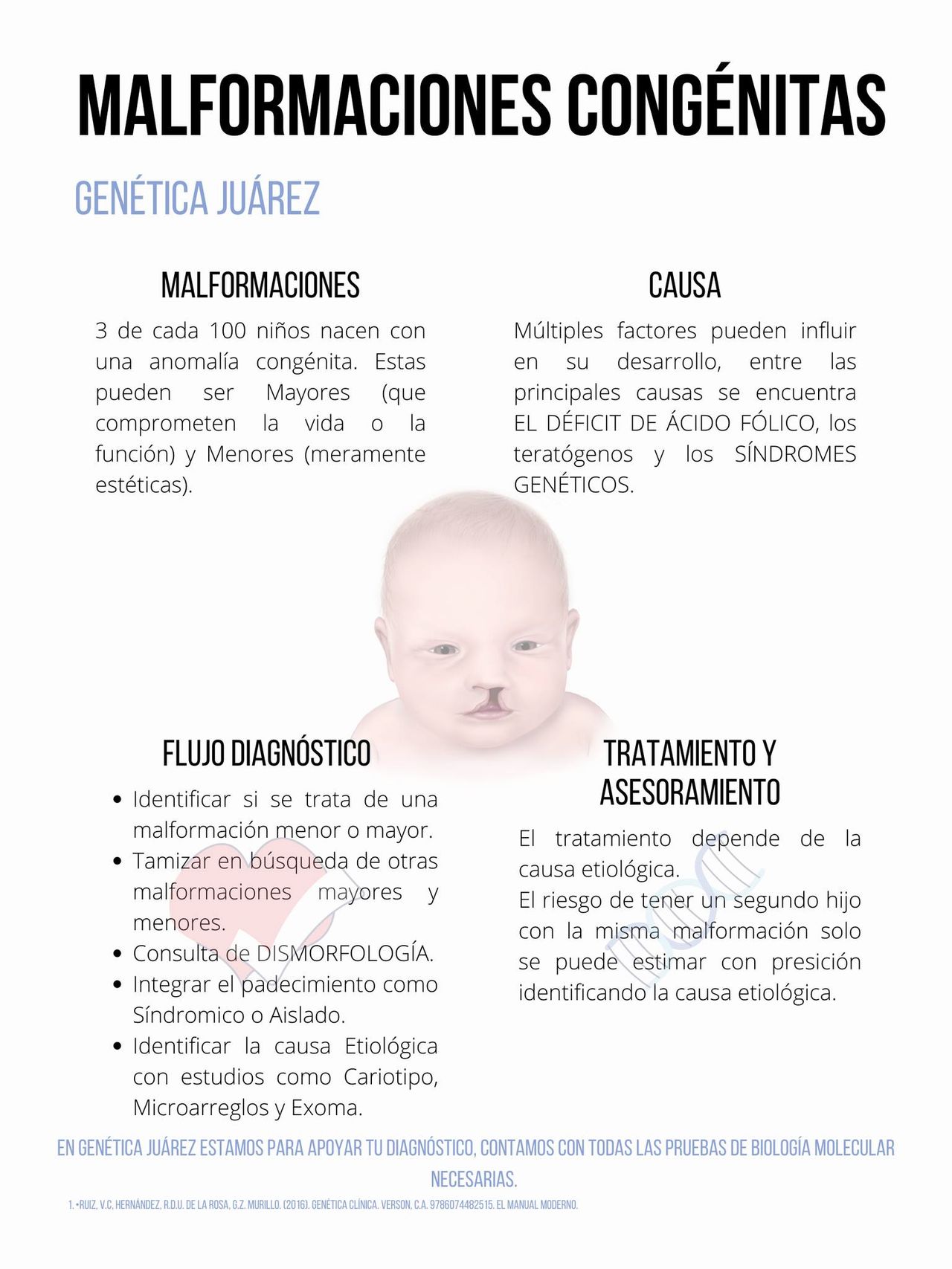 Pedro Rodríguez Gómez-4