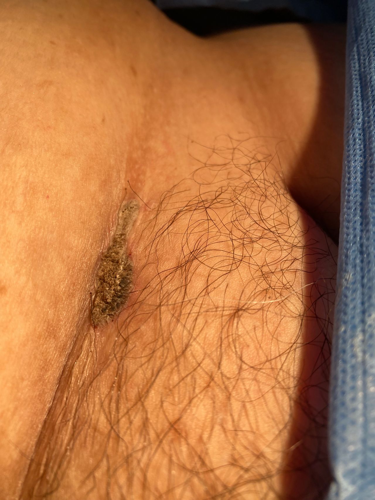 Lilia Gutierrez Franco-0