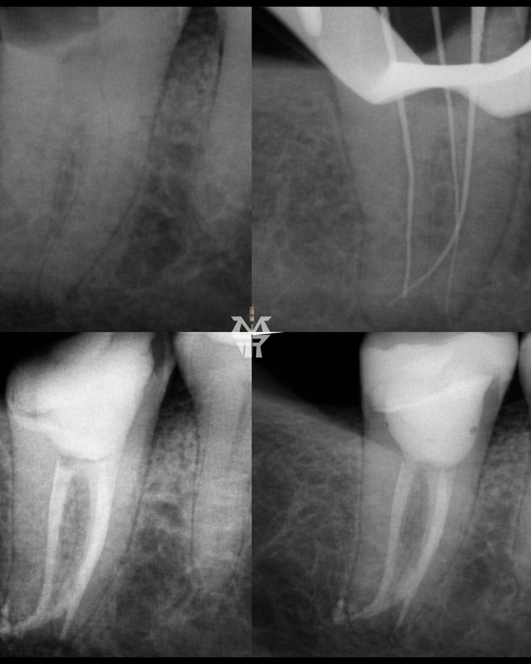 Marco Antonio Rodríguez-6