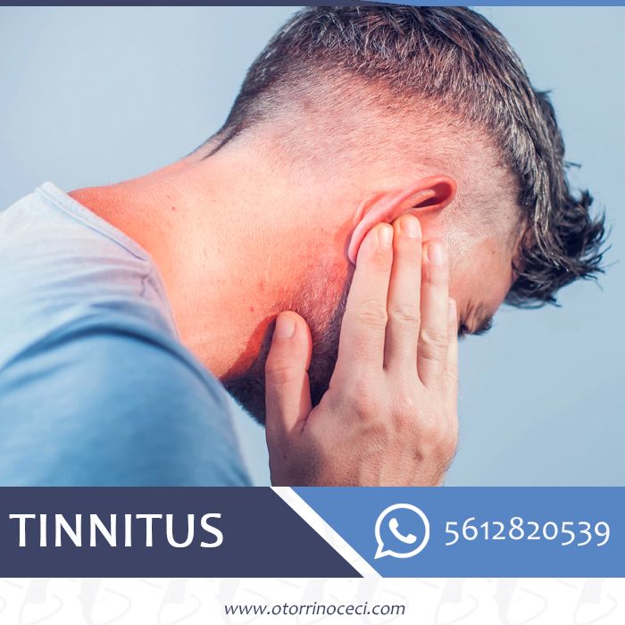 Cecilia Belen Espinosa Arce-11