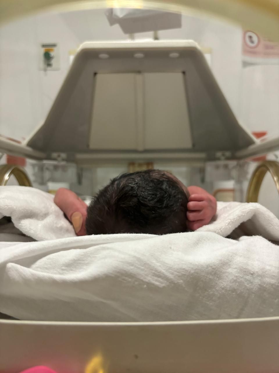 Andrea Hernández Salazar-9