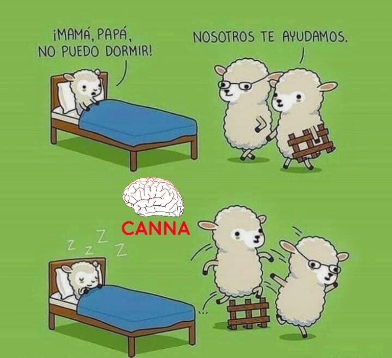 Manuel Jesús Padilla Huicab-33