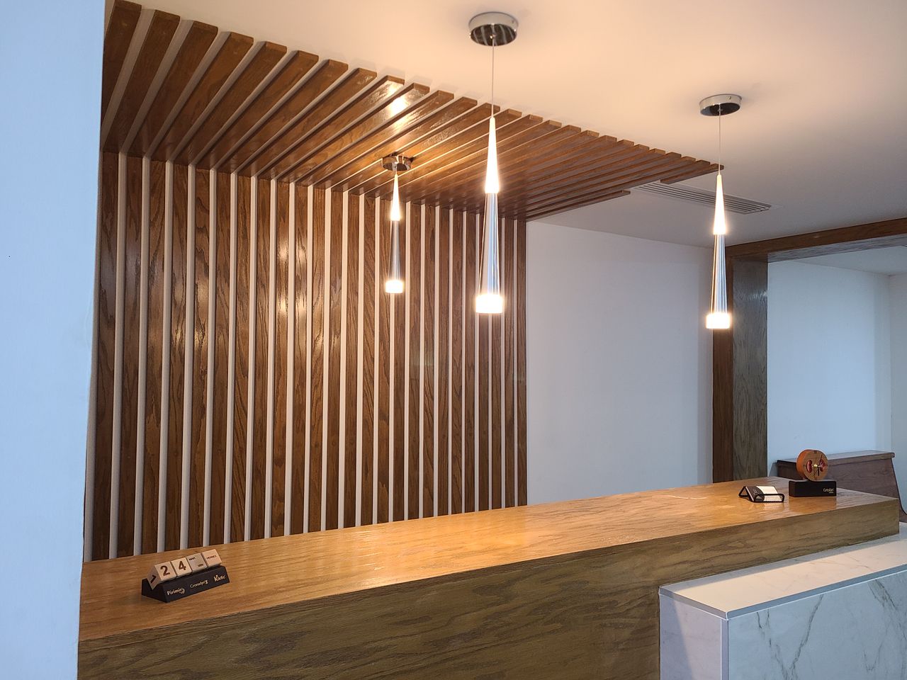 José Francisco De La Torre Ramos-8