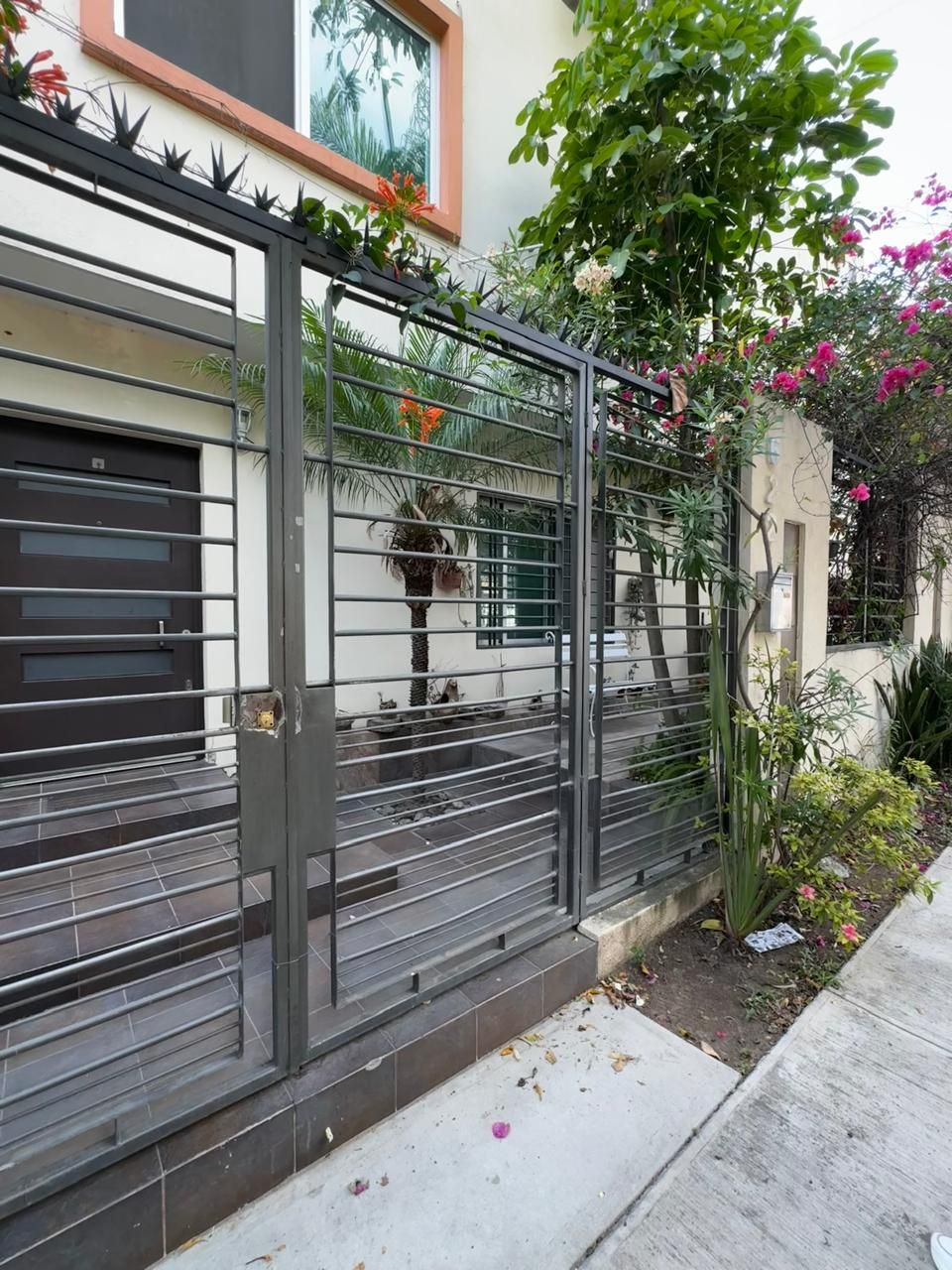 Mariana Canales Valdez-1