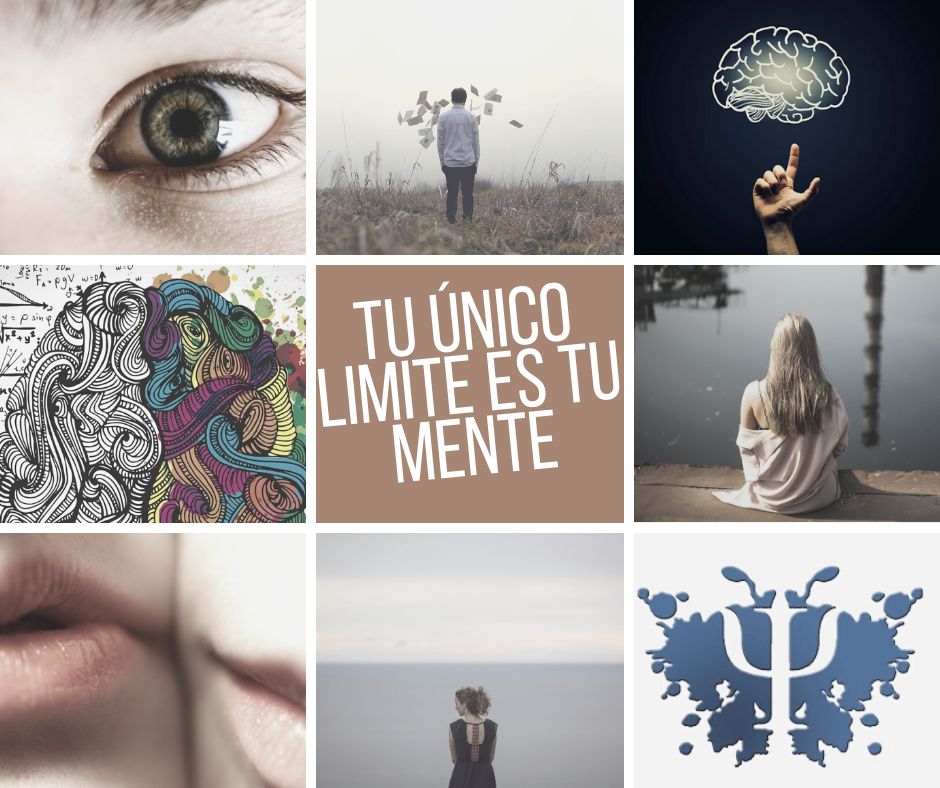 David Noriega Flores-4