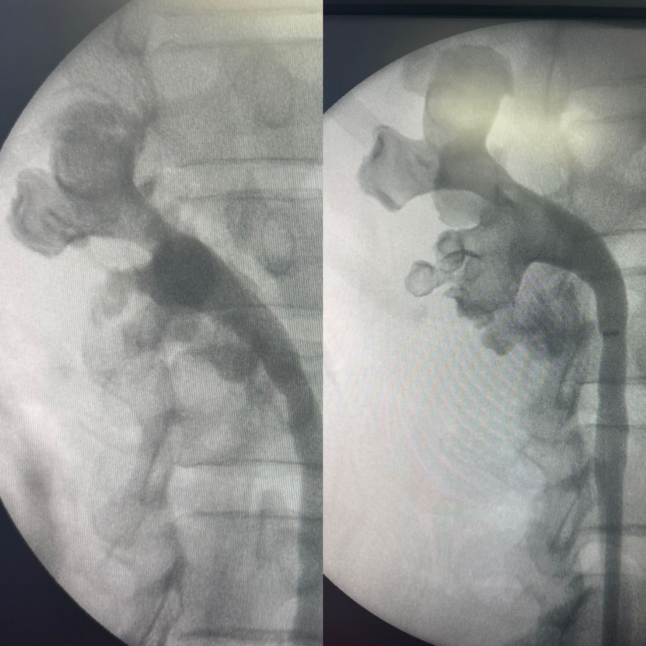 Servando Maximiliano García Sánchez-5