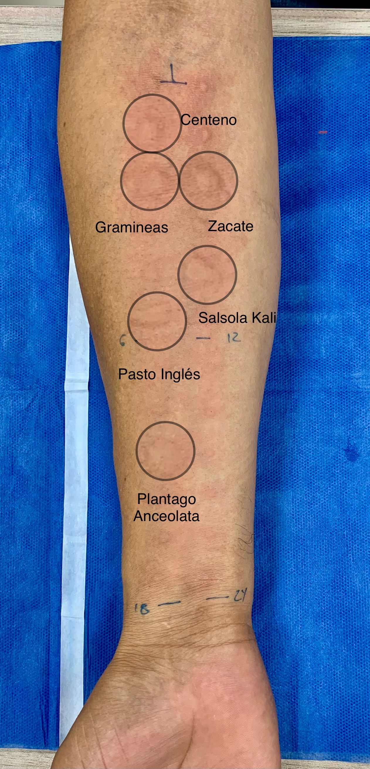 Arturo Gaspar López-4